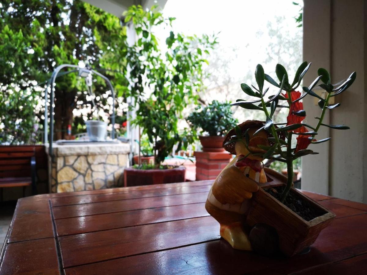 Apartament Casa Vacanze Sonia Amelia Zewnętrze zdjęcie
